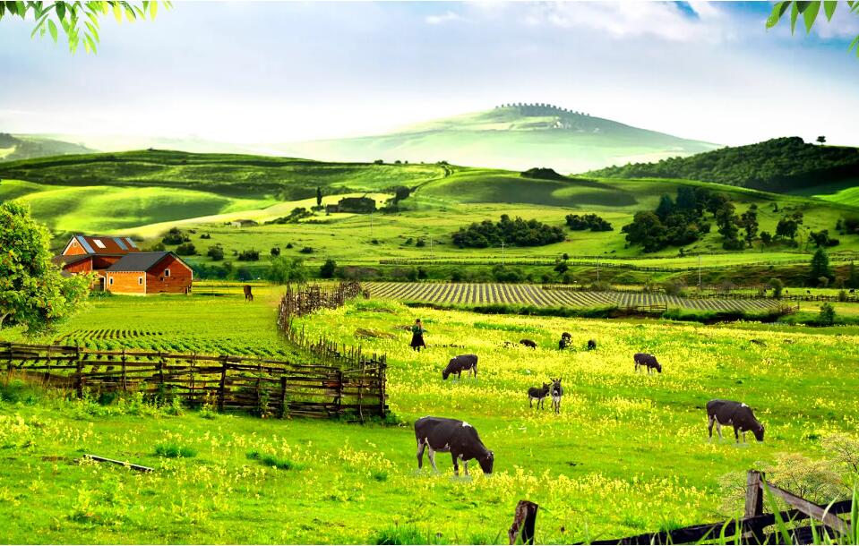 農場產品品牌策劃全案 農場產品品牌策劃全案