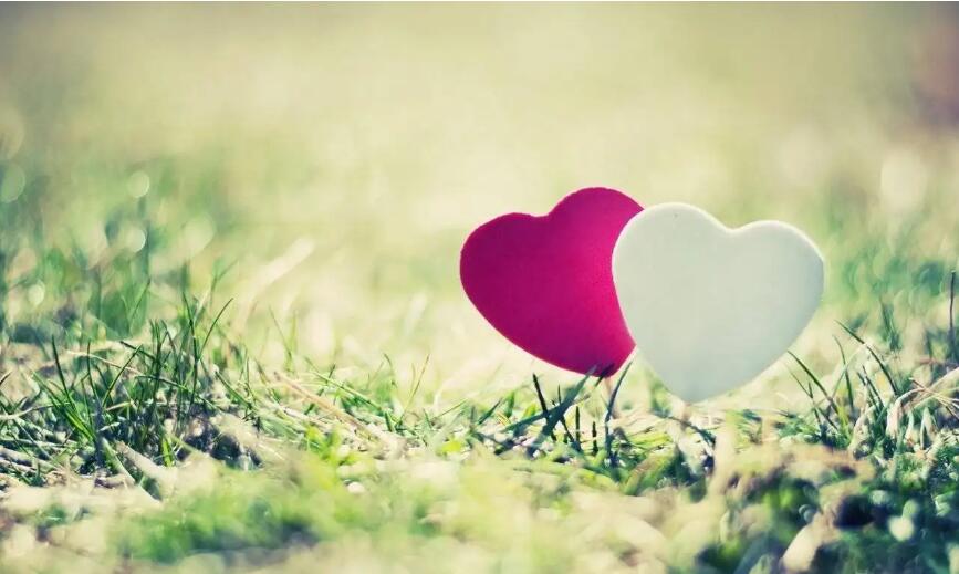 1665399865173775.jpg 交友網(wǎng)站logo設計理念