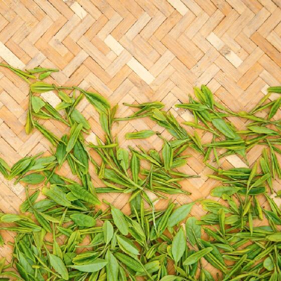 茶葉包裝設(shè)計(jì)收費(fèi)標(biāo)準(zhǔn) 上海茶葉包裝設(shè)計(jì)多少錢